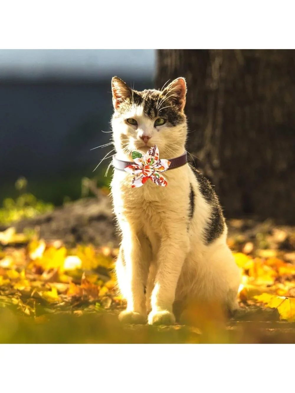 120 Pcs Fall Dog Collar Flowers & Bow Ties - Thanksgiving Pet Accessories for